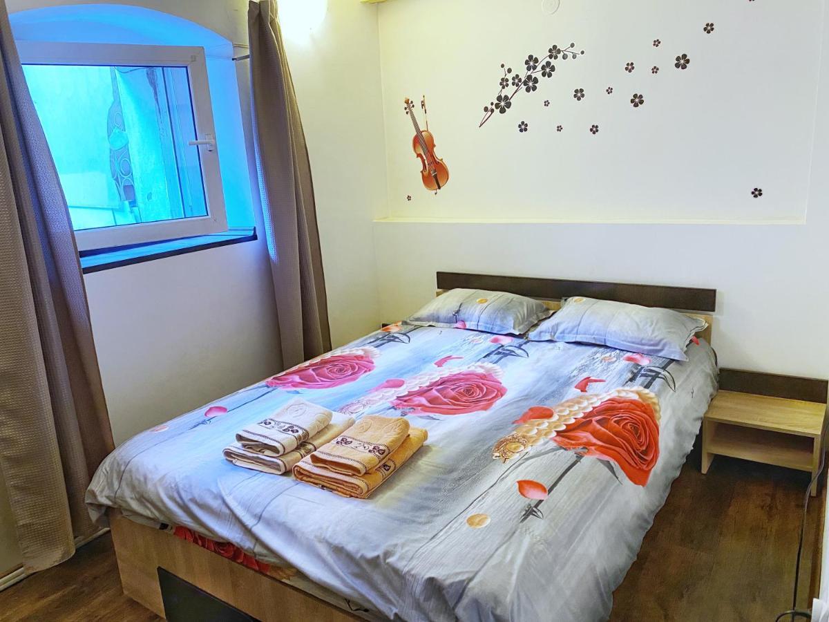 Sauna Apartament Braşov Buitenkant foto